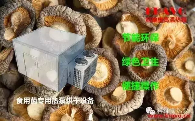 熱泵干燥技術(shù)在食用菌.jpg