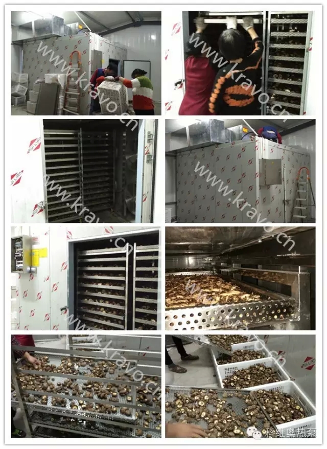 熱泵干燥技術(shù)在食用菌2.webp.jpg
